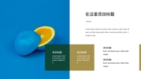 第15张幻灯片