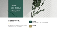 第4张幻灯片