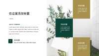第6张幻灯片
