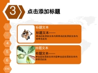 第5张幻灯片