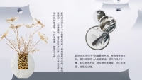 第12张幻灯片