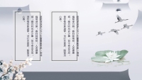 第13张幻灯片