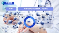 第12张幻灯片