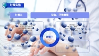 第14张幻灯片