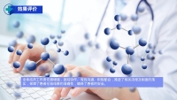 第21张幻灯片