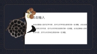 第11张幻灯片