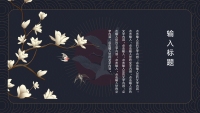 第12张幻灯片
