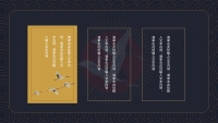 第13张幻灯片