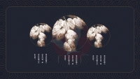 第24张幻灯片