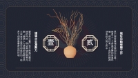 第7张幻灯片