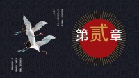 第8张幻灯片